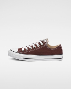 Converse Chuck Taylor All Star Seasonal Color Női Rövidszárú Barna | ERCLBIX-HU